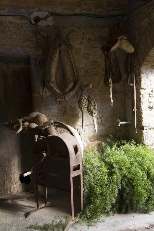 Can Barnosell - Els Masos D'En Coll Llaviá Εξωτερικό φωτογραφία